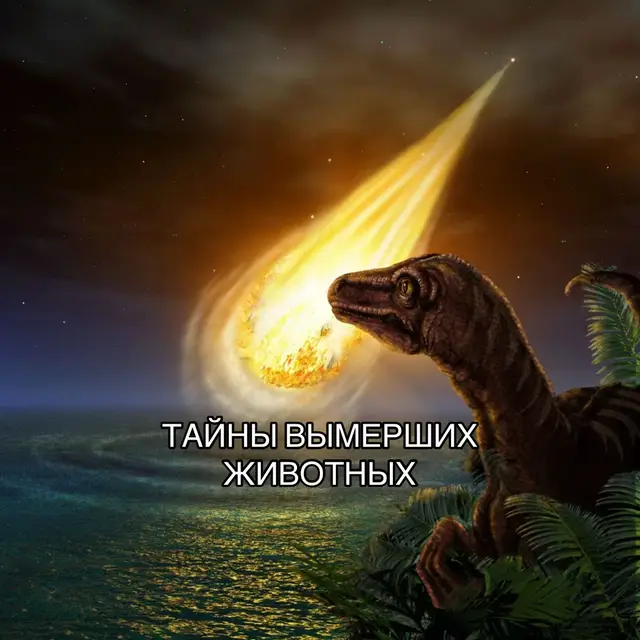 Тайны вымерших животных. Часть 1  #History #prehistoric #oldearth #mammoth #донашейэры 