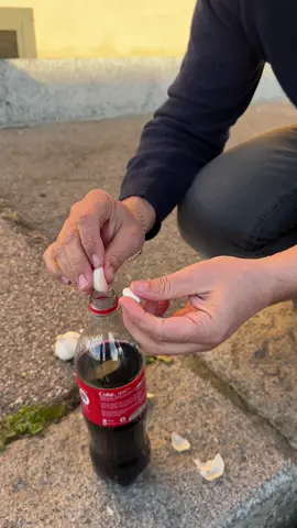 Here’s What Happens When You Mix Garlic and Mentos with Coca-Cola! #Skerdix #Experiment #Curiosity #Chemistry