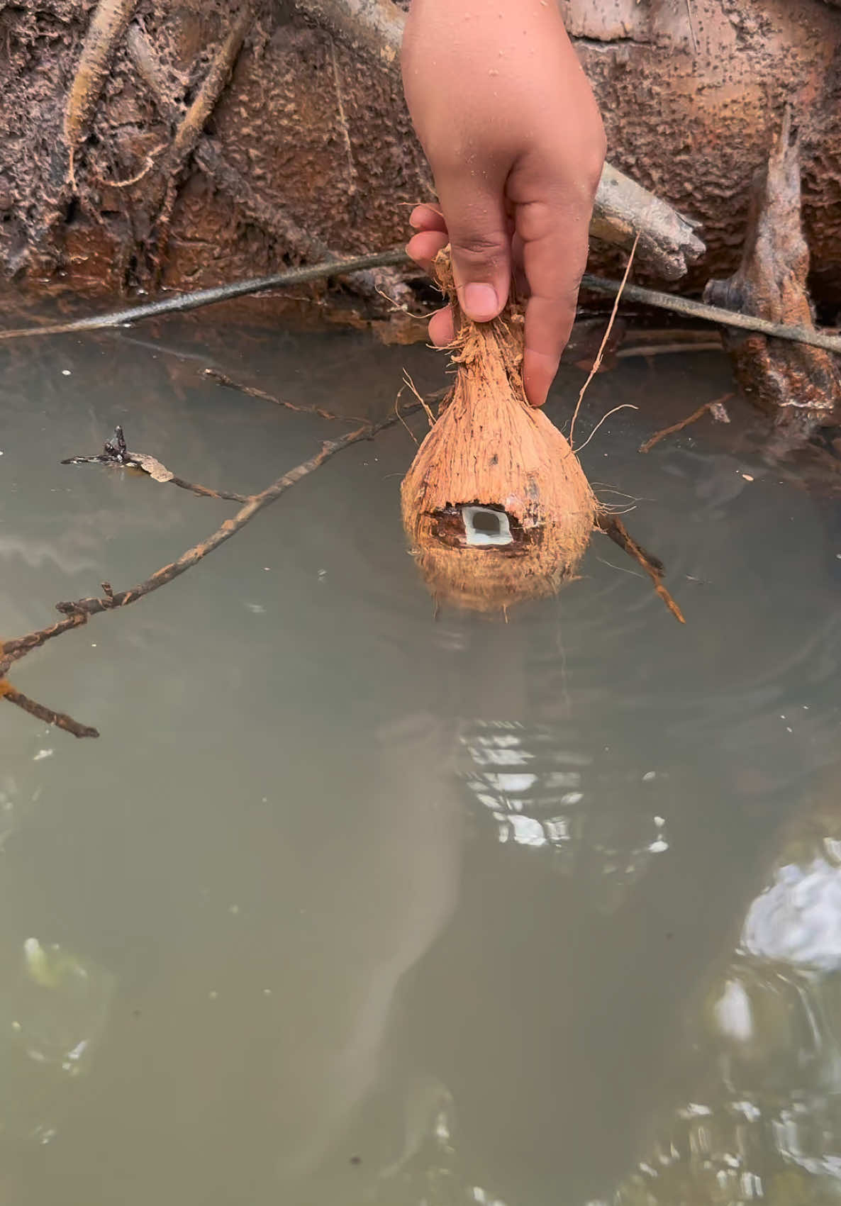 Survival in forest #coconut #survival #Outdoors #bushcraft #camping #forest #skills #nature 