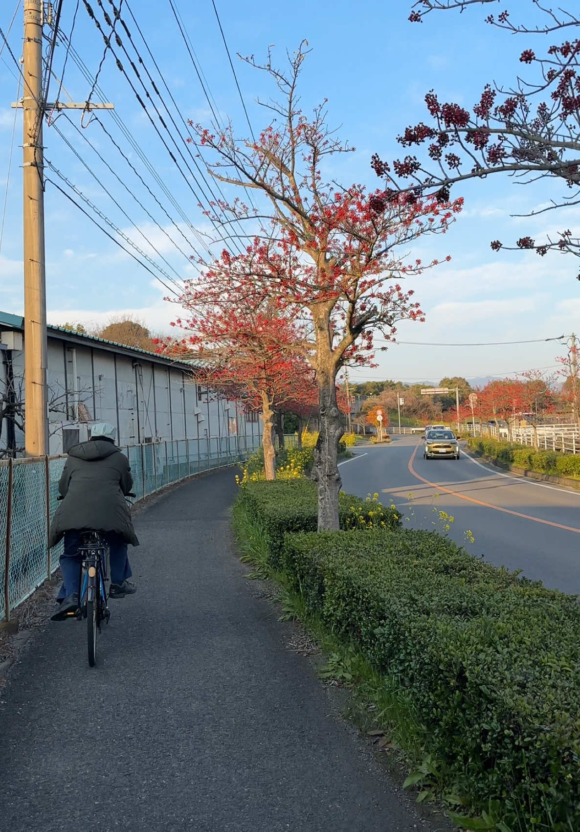 #日本 #おすすめ #japan #fukuoka #japanvibes #japanstreet #japanstreetvibes #yungkai #blue #yungkaiblue #fyppppppppppppppppppppppp #fypシ゚ 