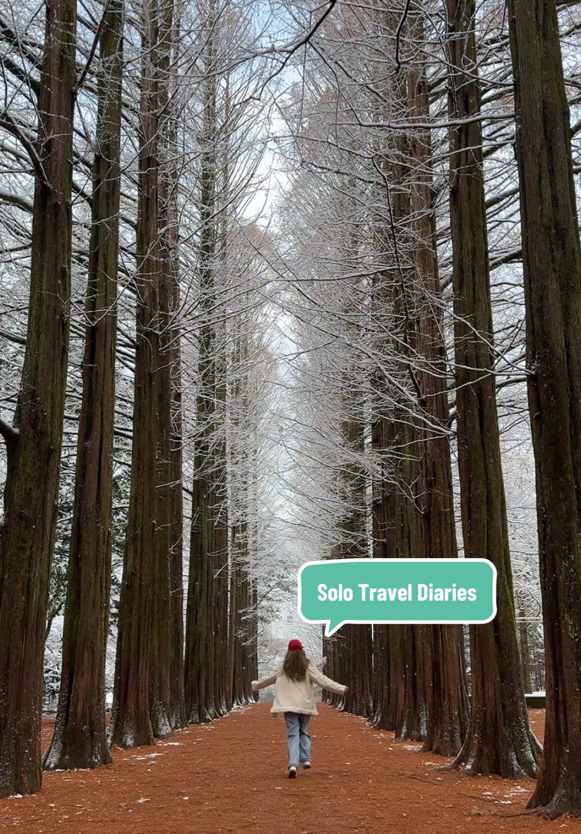 Lost in the world, found in myself ✨ Solo travel isn’t lonely — it’s liberating. Here’s to finding magic in every moment 💫 📍Nami Island, South Korea  #solotravel #wanderlust #solotraveldiaries #traveltok #tiktoktravel #fyp #fypage #foryou #tiktokph 