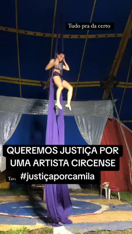 #jornalnacional #abuso #justiçaporcamila #camila #justica #repertorionovo #circus #polemica #centraldomaranhao 