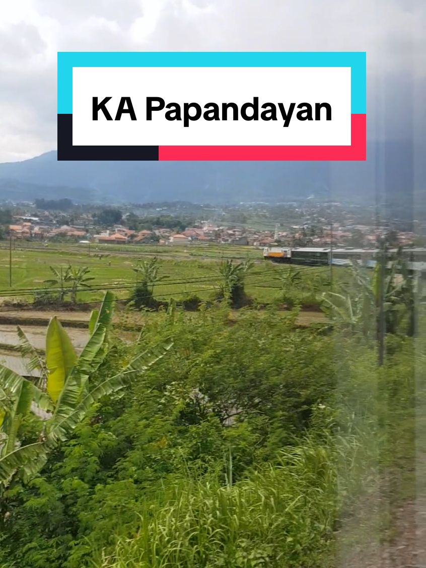 KA Papandayan sedang meliuk tajam di turunan Kadungora. #keretaapi #kereta #keretaapiindonesia #keretaapikita #kai121 #kai #ulatbesi #ularbesi #papandayan #tiberkadungora #kadungora #keretapapandayan #daop2bandung #railfans #railfansindonesia #railways #railwaysindonesia 