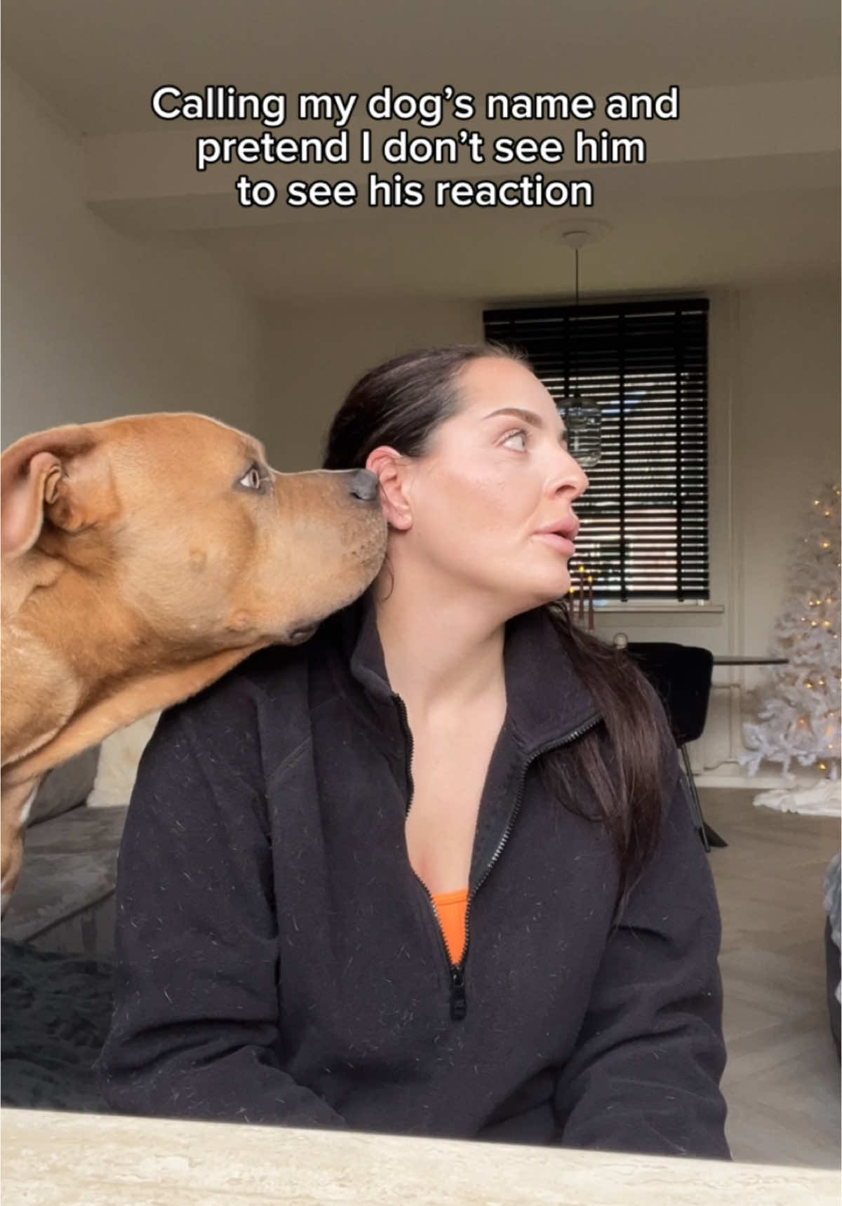 This dog needs his own show literally. What a clown 😩❤️ #fyp #foryou #foryoupage #vj #voorjoupagina #voorjou #marenenraffie #marenraffieodincupcake #bundleofbullies 