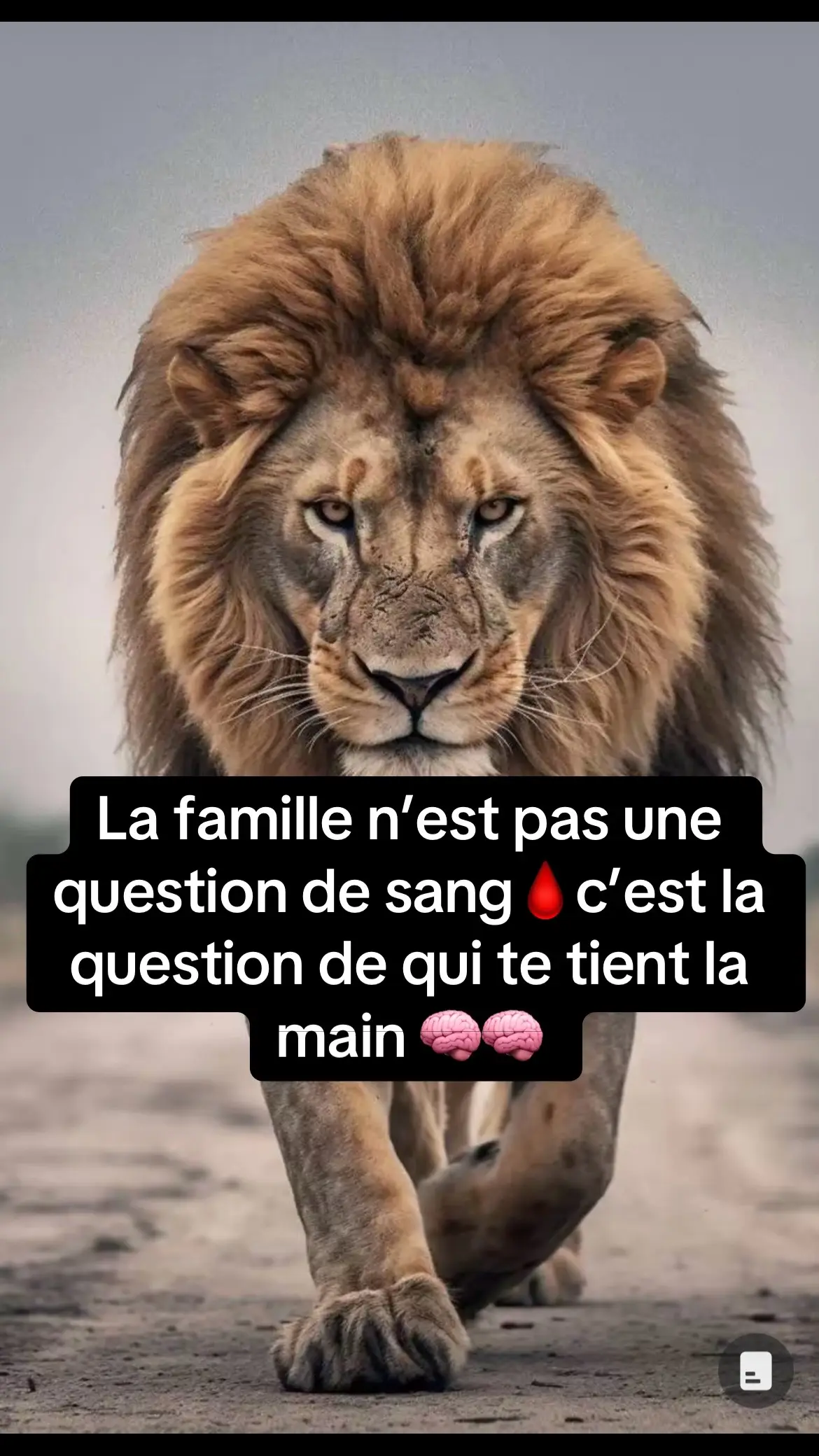 #la famille n’est pas question de 🩸 #conseils #citation #francetiktok🇫🇷 