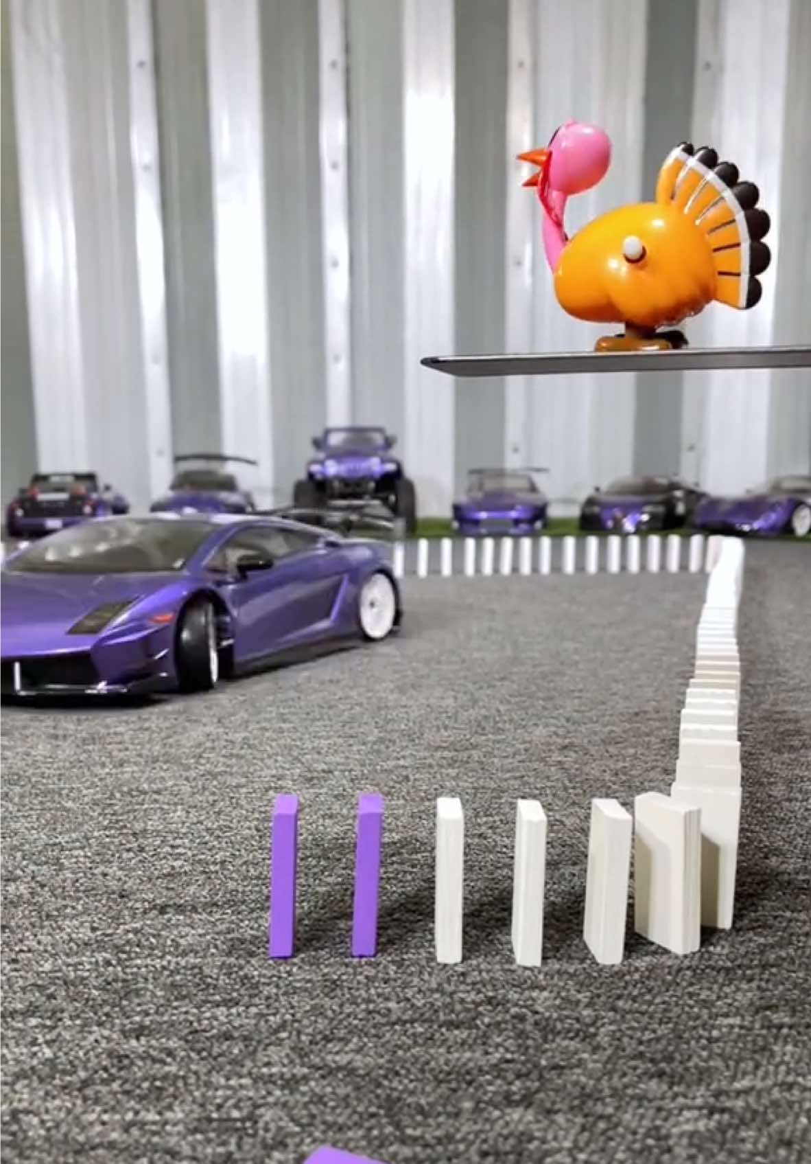 Saving the dominoes from the turkey! #thanksgiving #trickshot #lamborghini #cartok 