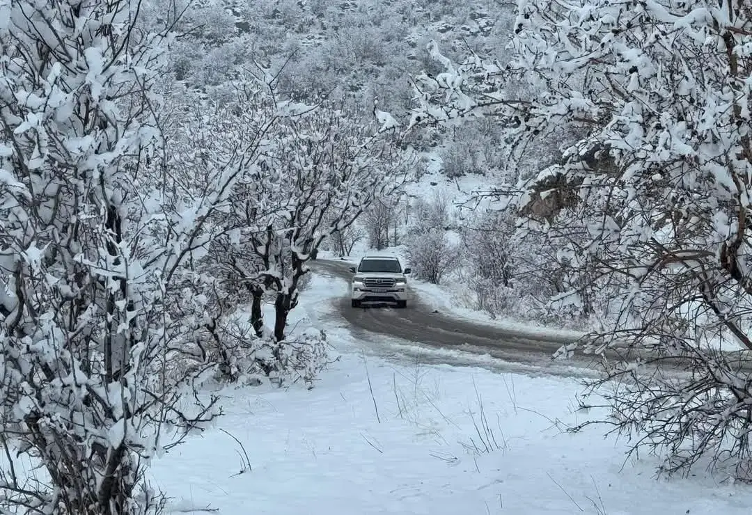 مباشر الان ..مشاهد ساحرة لـ جبل كاره بمحافظة دهوك بالثوب الأبيض  بعد تساقط موجة ثلج ❄️  يوم الخميس 28/11/2024 #دليل_السياحة_في_دهوك 