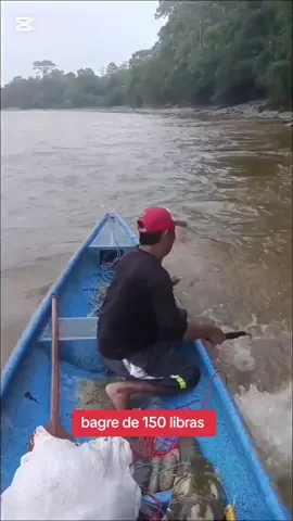 #pescaderio #pesca #pescador 