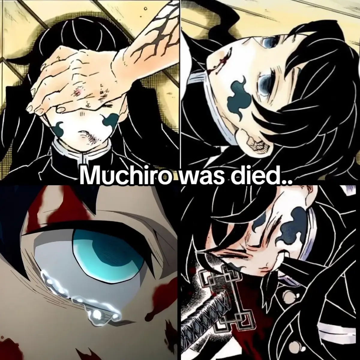 Muchiro was died..😭😭😴😴🕊🥀 . . . . . #Demonslayer#TikitoMuchiro#