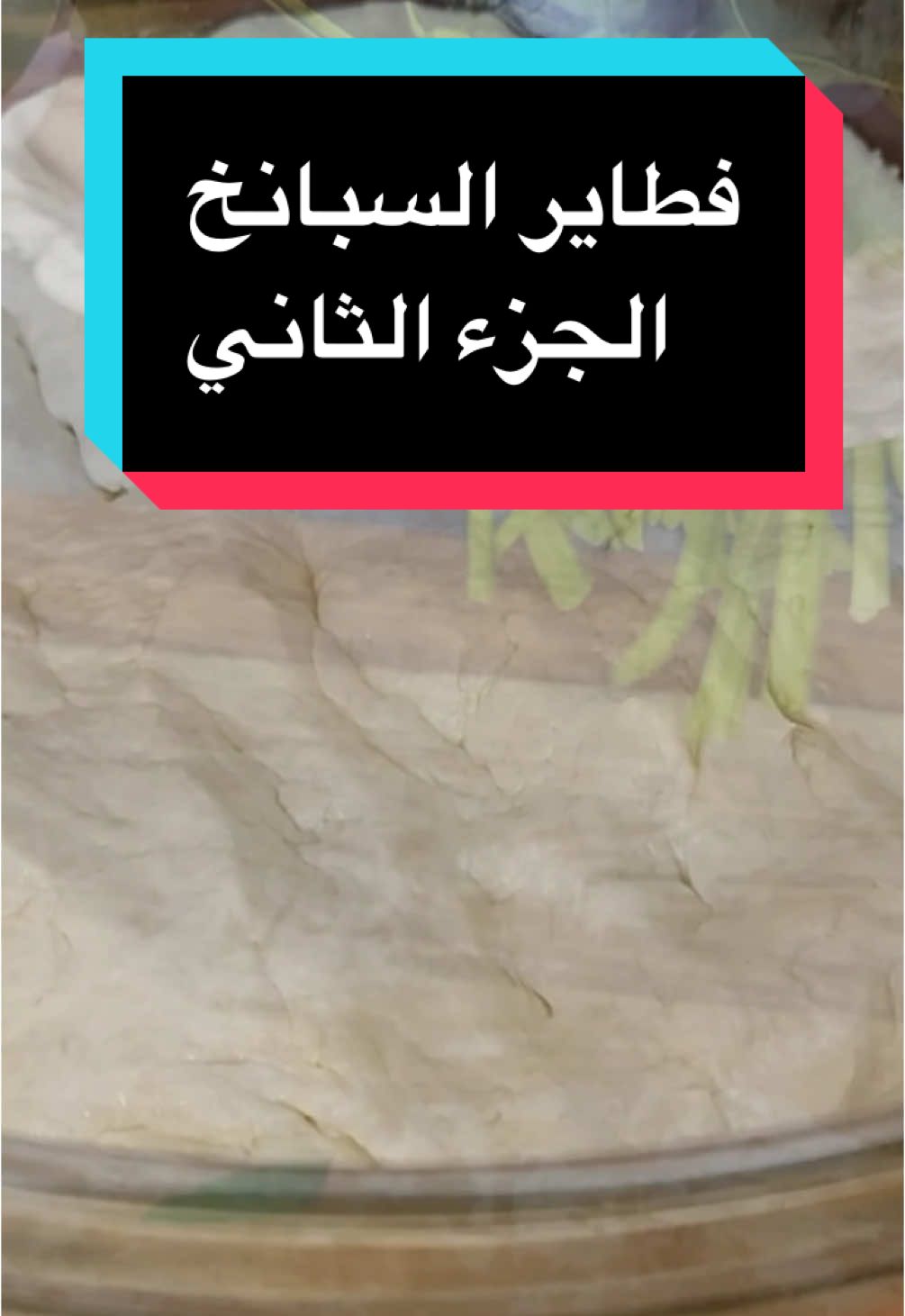 #عجينة_فطاير #الشيف_أبو_ضياء_الدسوقي ##فطاير_سريعه #فطاير_سبانخ #المانيا🇩🇪 #الشيف_أبو_ضياء_الدسوقي #تركيا🇹🇷اسطنبول #هولنا🇳🇱 #النرويج🇳🇴 #امريكا_نيويورك_الولايات_المتحده #عجينة_سهلة #اوربا_الخليج_العالم #المغرب🇲🇦تونس🇹🇳الجزائر🇩🇿 #الشيف_أبو_ضياء_الدسوقي 