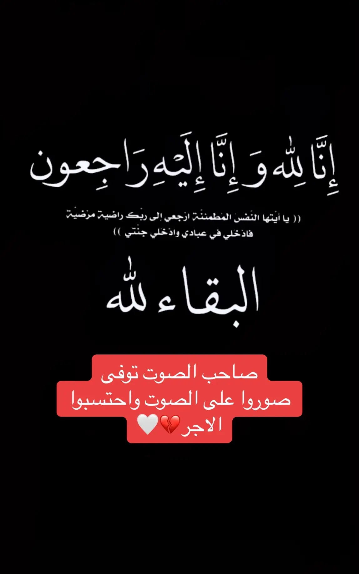 #الله #سبحان_الله_وبحمده_سبحان_الله_العظيم #القرات #ترتيل #تجويد #الدخان #القران #اكسبلور #اكسبلورexplore 