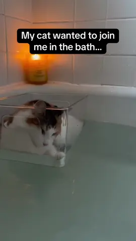 I feel like my cat would sink 🤣 #RoadTo16Million #Pubity  (@Dani via Collab)