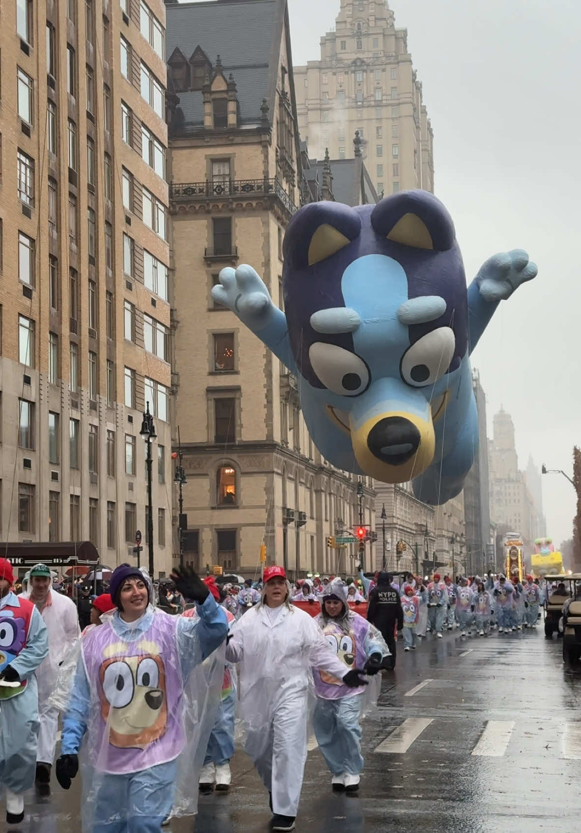 Replying to @Macy’s @Bluey is up and ready to play! Happy Thanksgiving from the @Macy’s 2024 Thanksgiving Day Parade 🥰❤️🦃 So nice seeing @sincerelymaureen with Bluey 🩵#nyc #entertainmentnews #macys #macysparade #thanksgiving #bluey #bts 