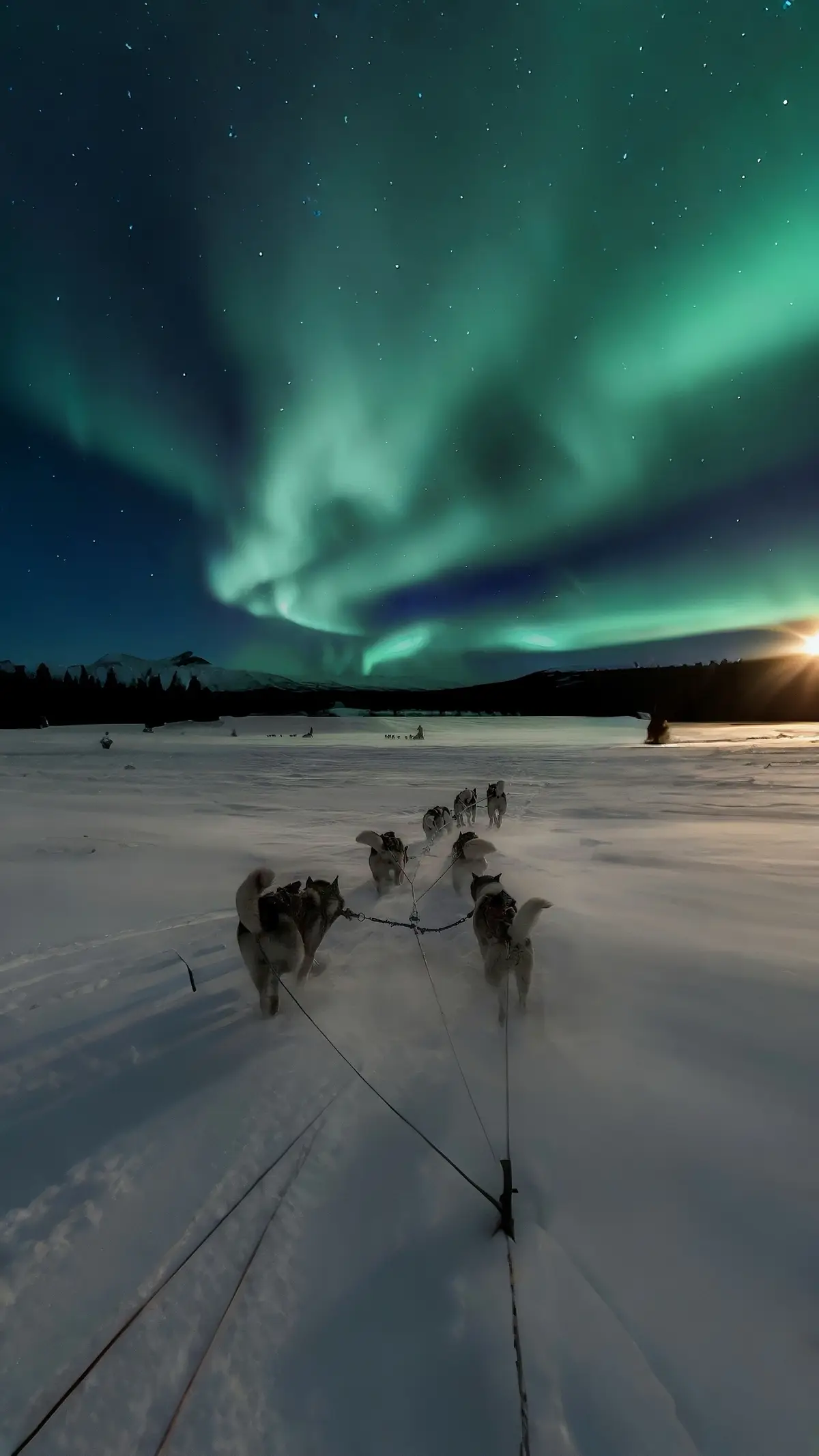 #travel #auroraborealis #lapland #foryoupagе #7wondersoftheworld 