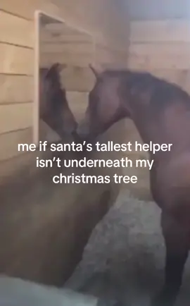 i need him next question #floptok #christmas #gay #floptropica #horses #floptok😍😍😭😌🤞💅💅 #taylorswift #sabrinacarpenter #wicked #santa #christmasdecor #christmastree 