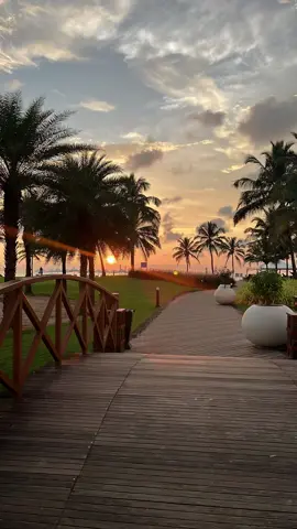 Goa, India 🇮🇳🏝️🌞 #goa #india #travel #holiday 