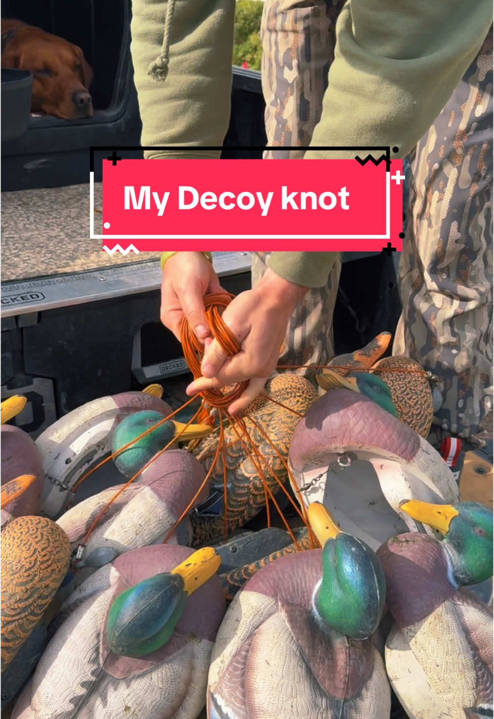 Replying to @Rhett_h07🌾 I will never do it another way! Thanks for the tip @Donny The Mullet #decoys #ducks #bucktok #hayday #trucksetup #duckvlog #fyp 