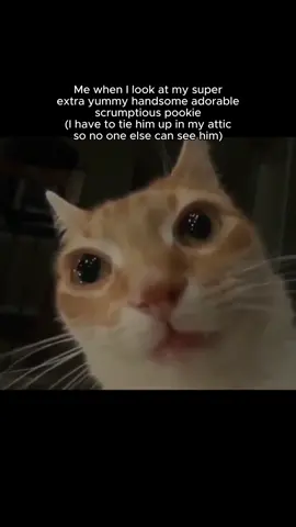 Relatable?  - - - - #couple #cat #cats #relatable #relationships #funny