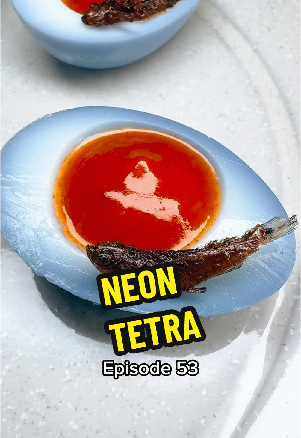 COOKING EVERY FISH IN THE WORLD 🐟 🌍  Episode 53 - Neon Tetra • BIN: Paracheirodon innesi FR: Tétra néon / néon bleu  GER: Neonsalmler / Neonfisch IT: Neon ESP: Tetra neón CRO-SRB: Plava neonka PT: Bandeirinha / tetra neon •  Devilled eggs with crispy fried fish! Blue coloured quail eggs filled with a red and spicy gochujang mayonnaise to honour the beautiful colours of the neon tetra fish. The perfect party snack, quick and easy to prepare. I guarantee your guests will have something to talk about!  • Ingredients (serves 6): 12 neon tetras or any small fish 6 quail eggs 1/2 red cabbage 1 egg yolk 1 tbsp mustard 180ml grape seed oil  2 tbsp gochujang • Recipe: 1. Roast the fish in the oven at 200C for about 15-20 minutes. 2. Boil the eggs for 4 minutes and peel. Boil the cabbage for 5 minutes until the water turns blue. Drain and once the water is cool, marinate the eggs in it overnight. 3. Mayonnaise: combine the egg yolk and mustard and whisk in the oil. Add the gochujang. 4. Cut the eggs in two, scoop out the yolks and push through a fine sieve. Combine with the mayonnaise and pipe into the yolk holes. Dress with the fried fish and enjoy! 🥚  •  #neontetra #fishrecipe #devilledeggs #eggs #eggrecipe #partyfood #canape 