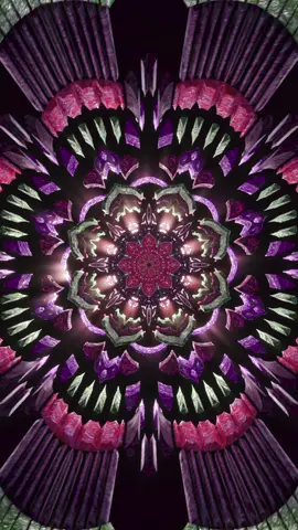 #cubensis #psilocybecubebensis #acid #ayahuaska #aya #luciddreams #visuals #sacredgeometry #spiritual #trippy #tripsitter #Dimethyltryptamine #mushroomart #thirdeye #trip #heroicdose #cogumelo #psychedelicart #visual #luciddream
