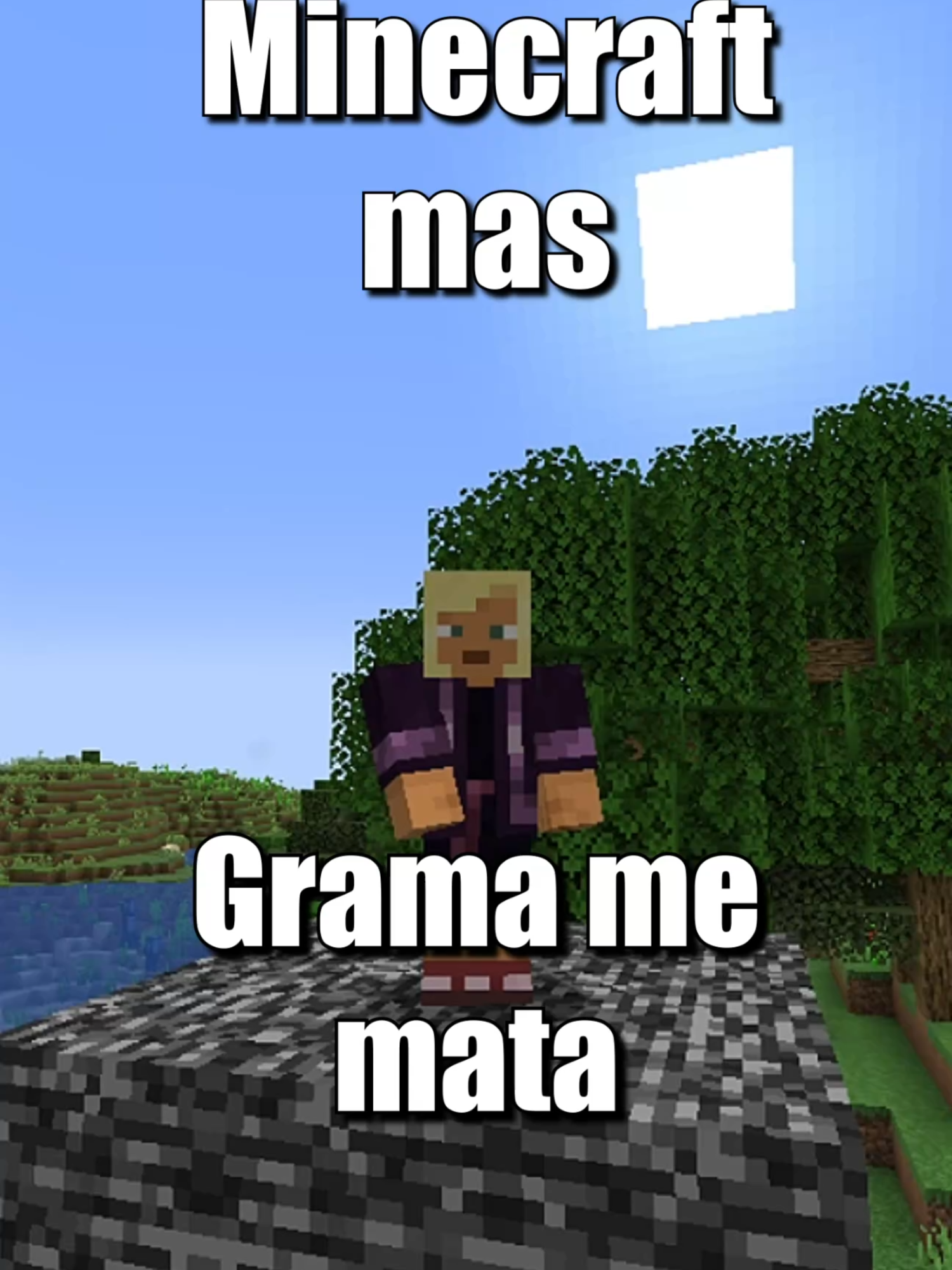 Minecraft mas grama me mata #Minecraft #fyp