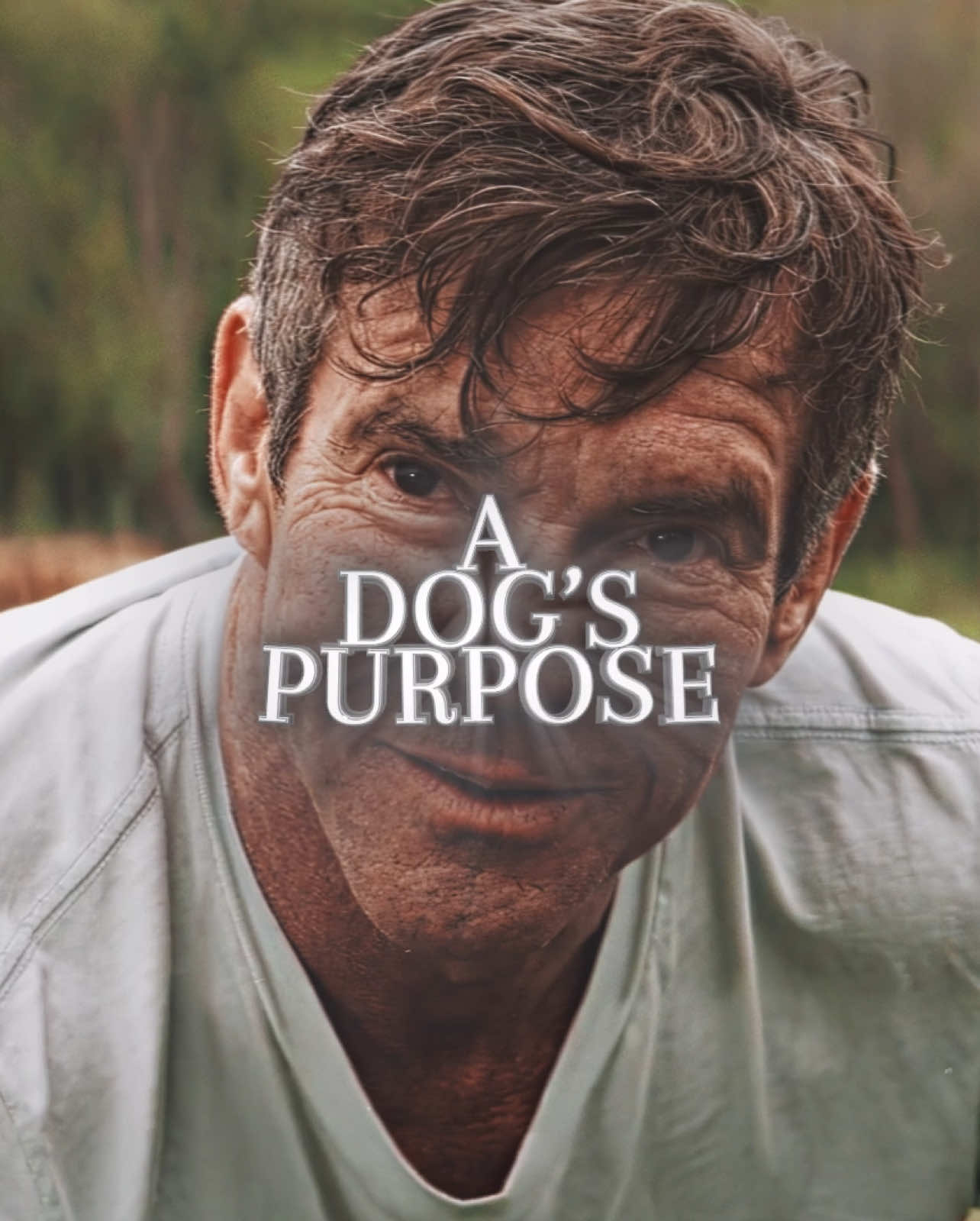 A Dogs Purpose was so meaningful 🙏 | #adogspurpose #dog #reincarnation #life #movie #fyp #edit #dzqly | (ORIGINAL CONTENT) |