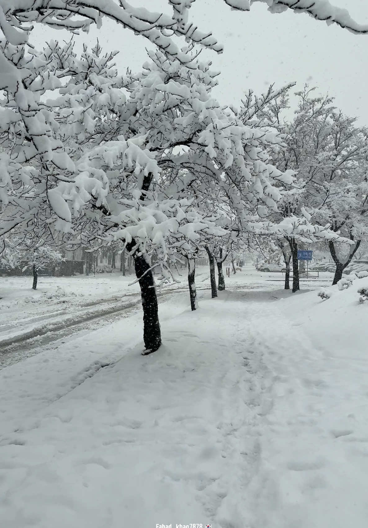 South Korea Ansan Hanyang University ERICA ❄️🇰🇷❄️🇰🇷❄️. #한국 #korea #강설량 #hellokorea #당신을위한 #foryou #viral 