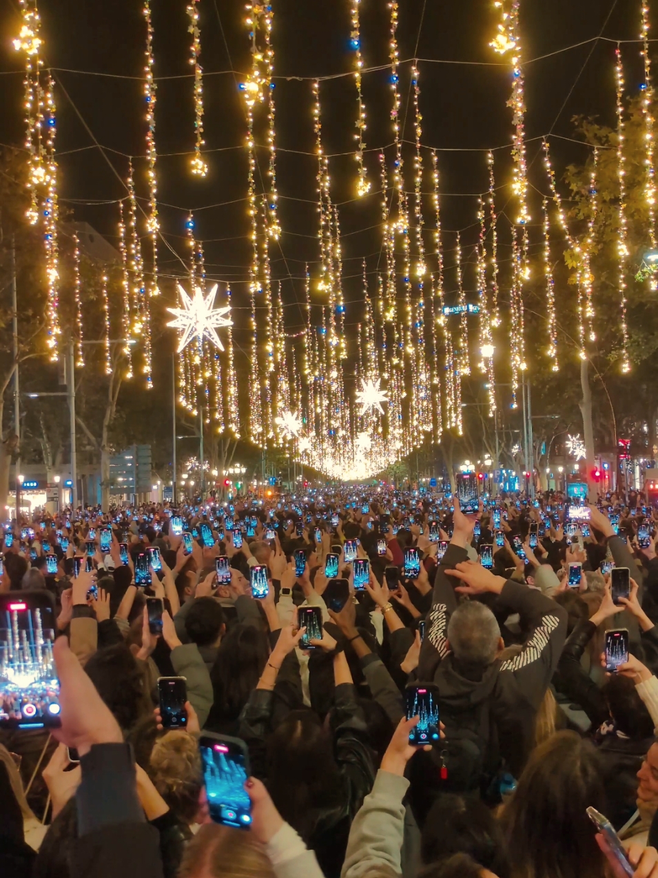 🌟 The magical moment as the iconic Passeig de Gràcia lights up for the holidays. Experience the start of Christmas in the heart of the city #barcelona #thingstodoinbarcelona #barcelonalocal #visitbarcelona #barcelonachristmas #barcelonachristmaslights #christmasinbarcelona #barcelonatiktok