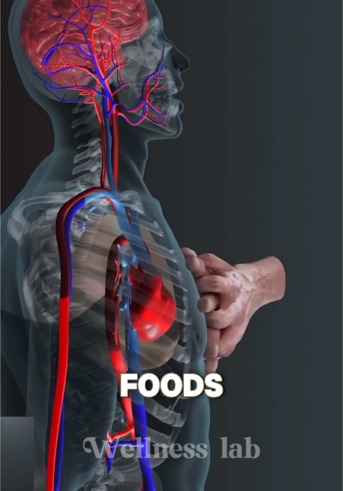 10 WORST FOODS FOR CHOLESTEROL. #cholesterol #foods #fats #usa🇺🇸 #usa_tiktok #usatoday 