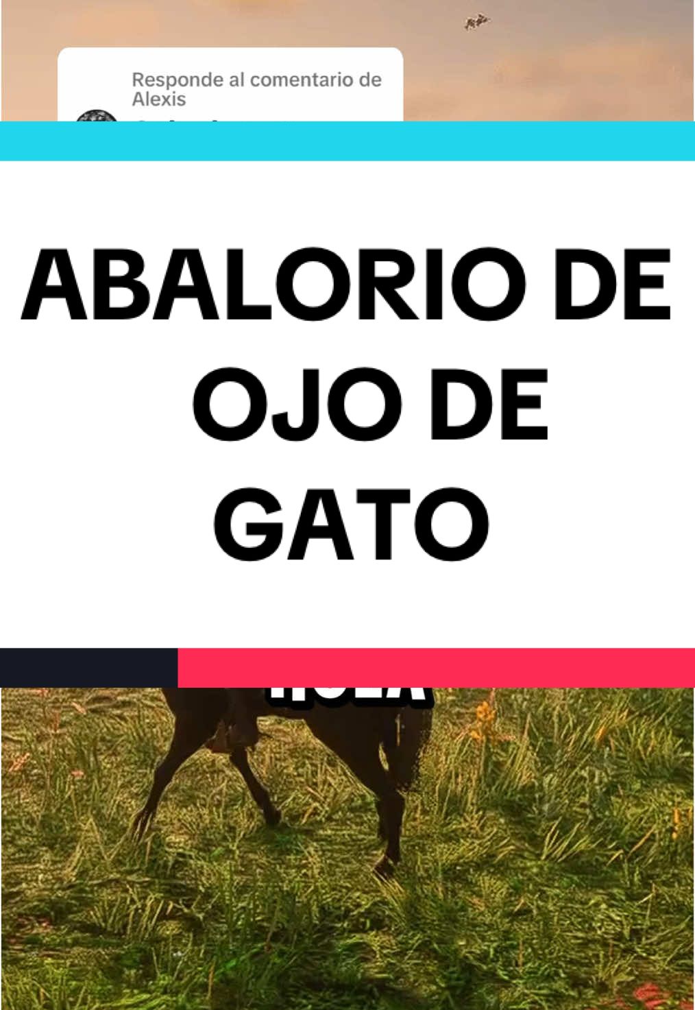 Respuesta a @Alexis #reddeadredemption2 #RDR2 #reddeadredemption2clips #rdr2tutorials #reddeadredemtionclips #rdr2online #rockstargames #rdr2 