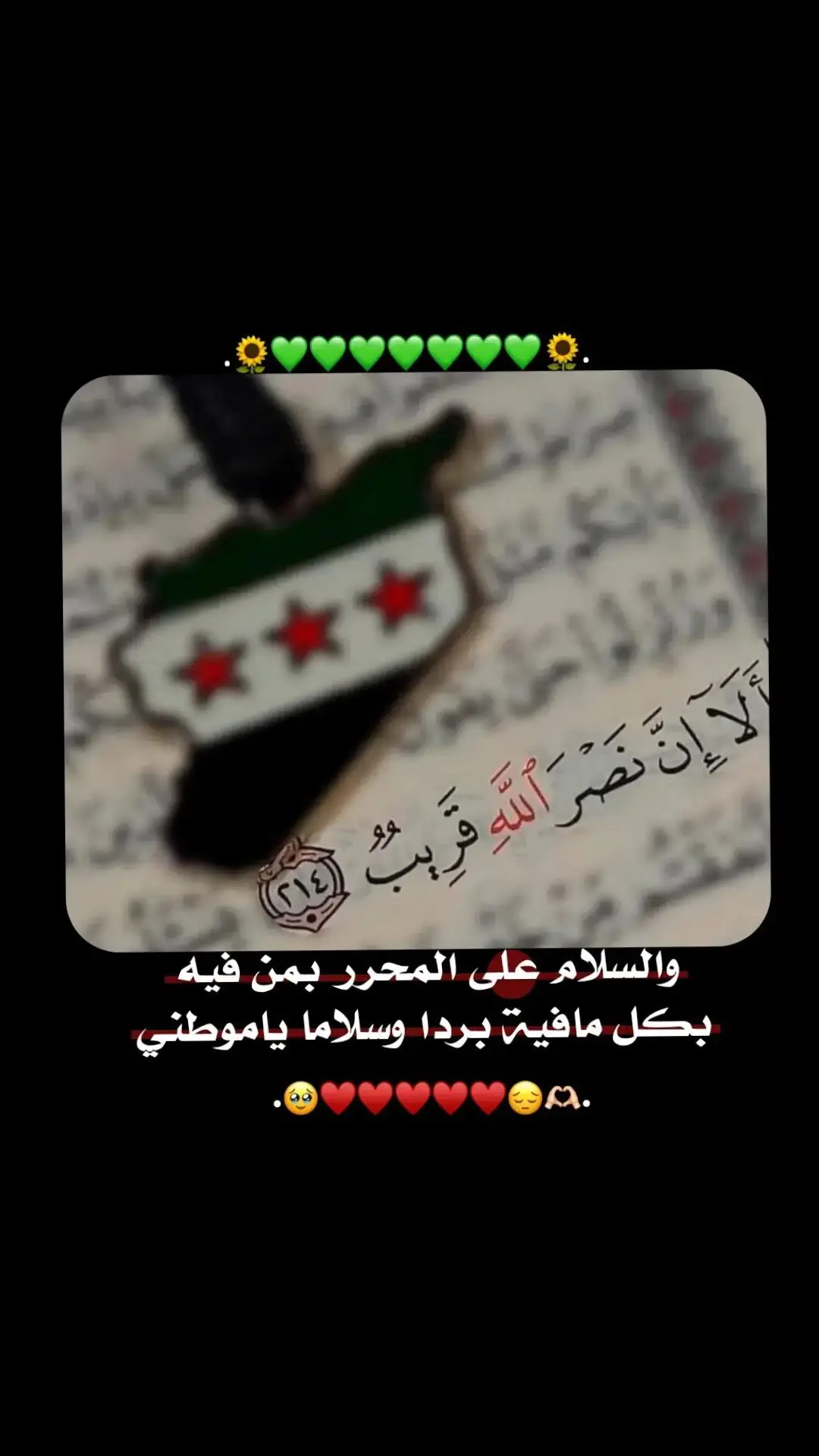 فلآ سـطـرآ يوصـفهہآ،، ولآ روآية تگفيهہآ [آلَثــورة] 💚👑✨ . #الثورة_مستمرة #سور #💚 #تصميم_فيديوهات🎶🎤🎬  #تصميمي #الثورة_السورية_مستمرة 