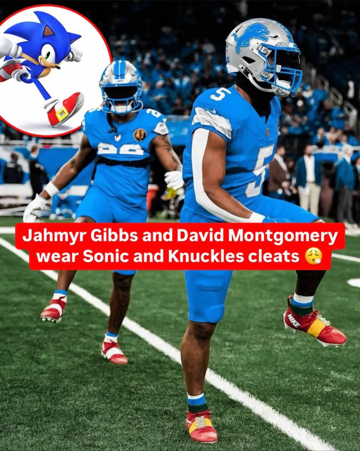 Jahmyr Gibbs and David Montgomery are Sonic and Knuckles 🙌 (via arts_undefined/IG)