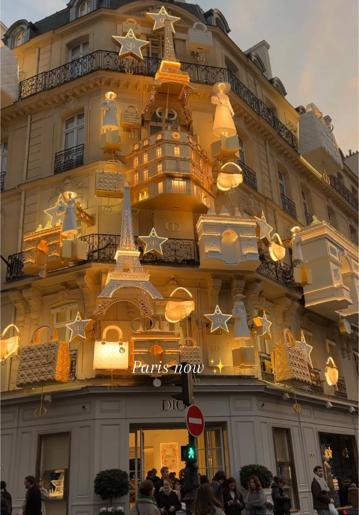 Paris looks like this now 😍 #parischristmas #christmaslights #christmas2024 #christmasinparis #christmasdecorations #parisvibes #paris2024