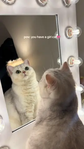 My princess 👸🏻🎀 #fyp #foryoupagе #foru #britishshorthair #girlcat #catsoftiktok #cats #girlythings 