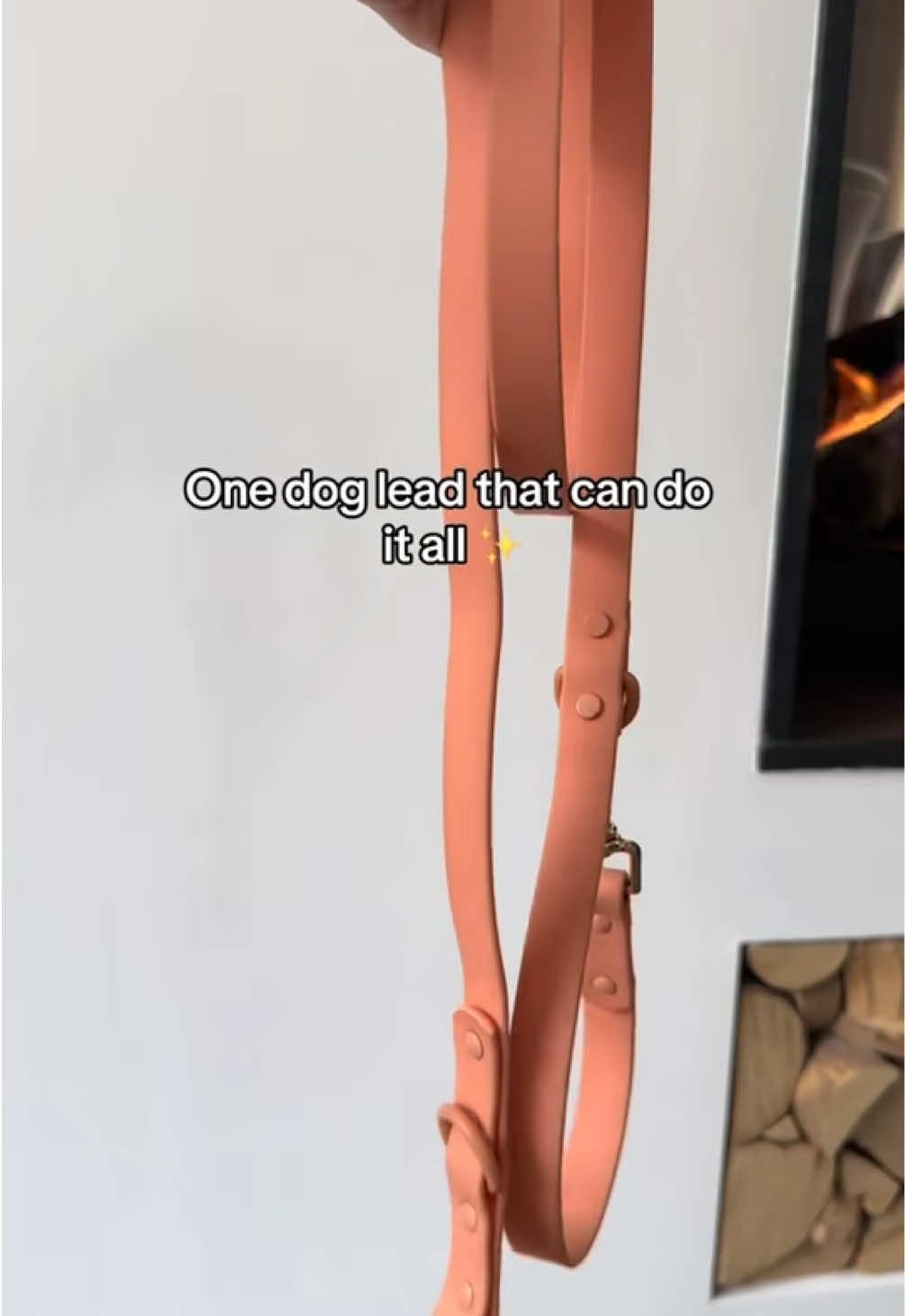 One dog lead that can be used various different ways 🤩 #handsfreewalking #waterproofdoggear #dogleads #dogwalkingbag #dogmomlife #dogwalkingessentials #fyp 