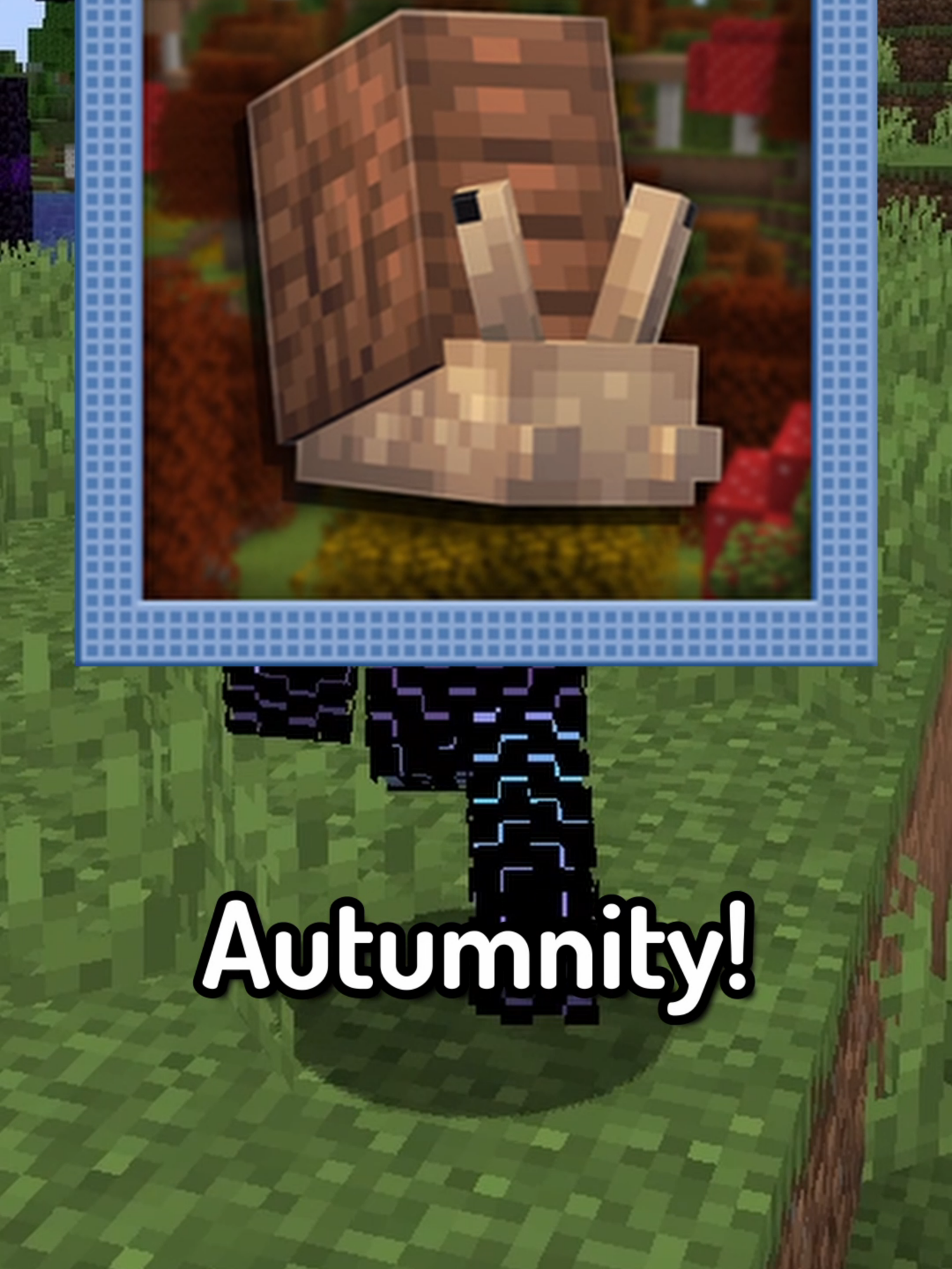 Mini Mod Reviews - Autumnity #Minecraft#minecraftmemes#moddedminecraft#minimodreviews#youtube#gaming#fyp