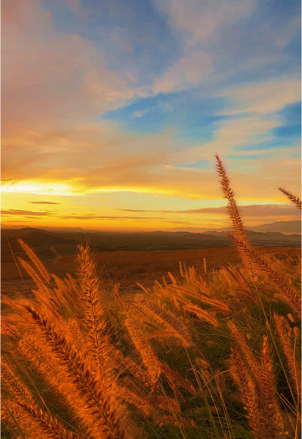 #socal #fall #sunset #fyp 