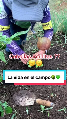 Asi es la vida en el campo 🌳💚 #campo #viral_video #colombia #frutasyverduras #mascotas #loveyou #fyp 
