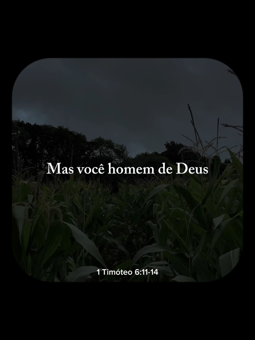 Espalhe o evangelho ✝️🤍 #fy #salmos #biblia #Deus #jesus 