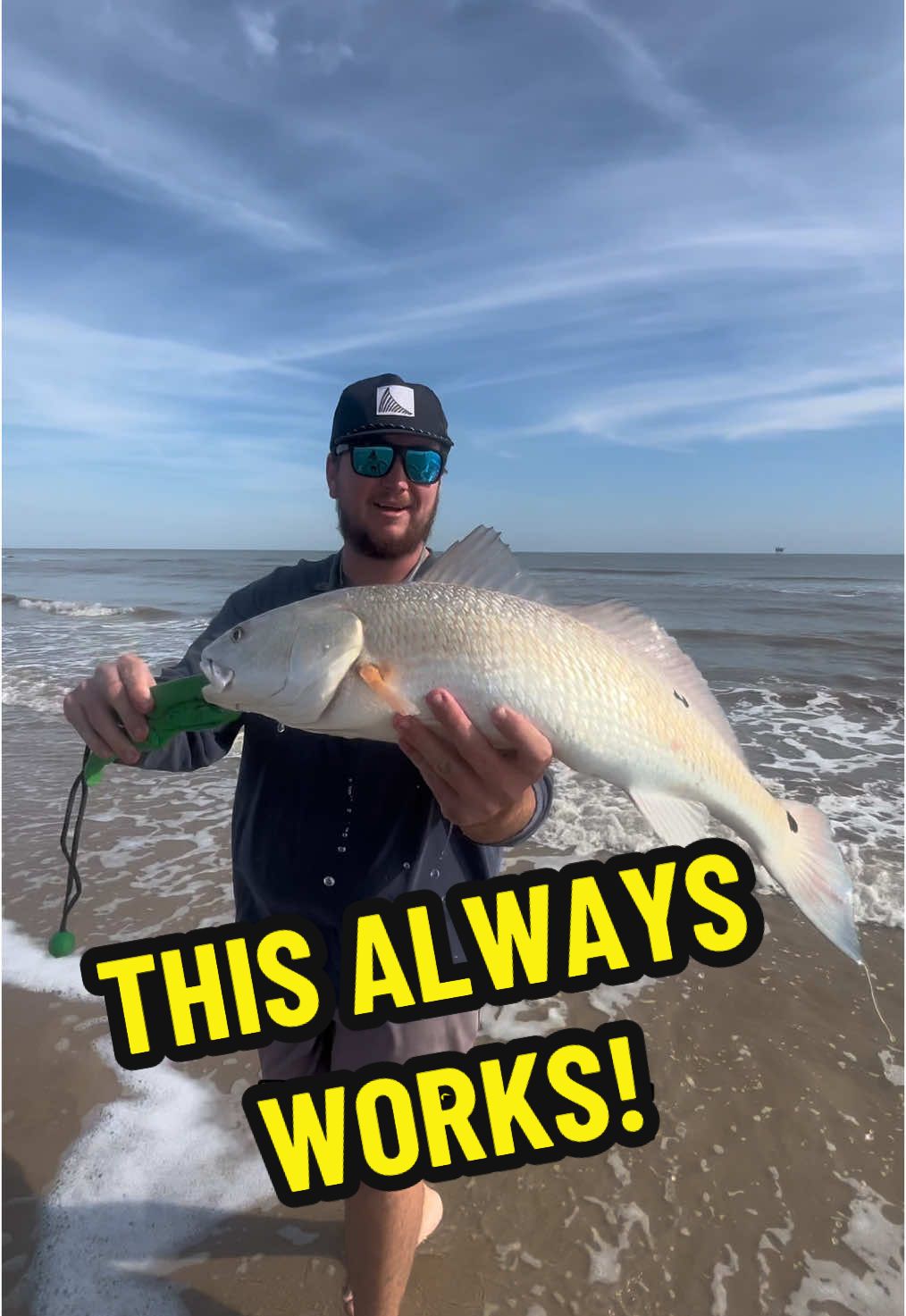 WINTER SURF FISHING for BIG FISH!                                                              #fishtok #saltwater #howtofish #surffishing #beach #redfish #bigfish 