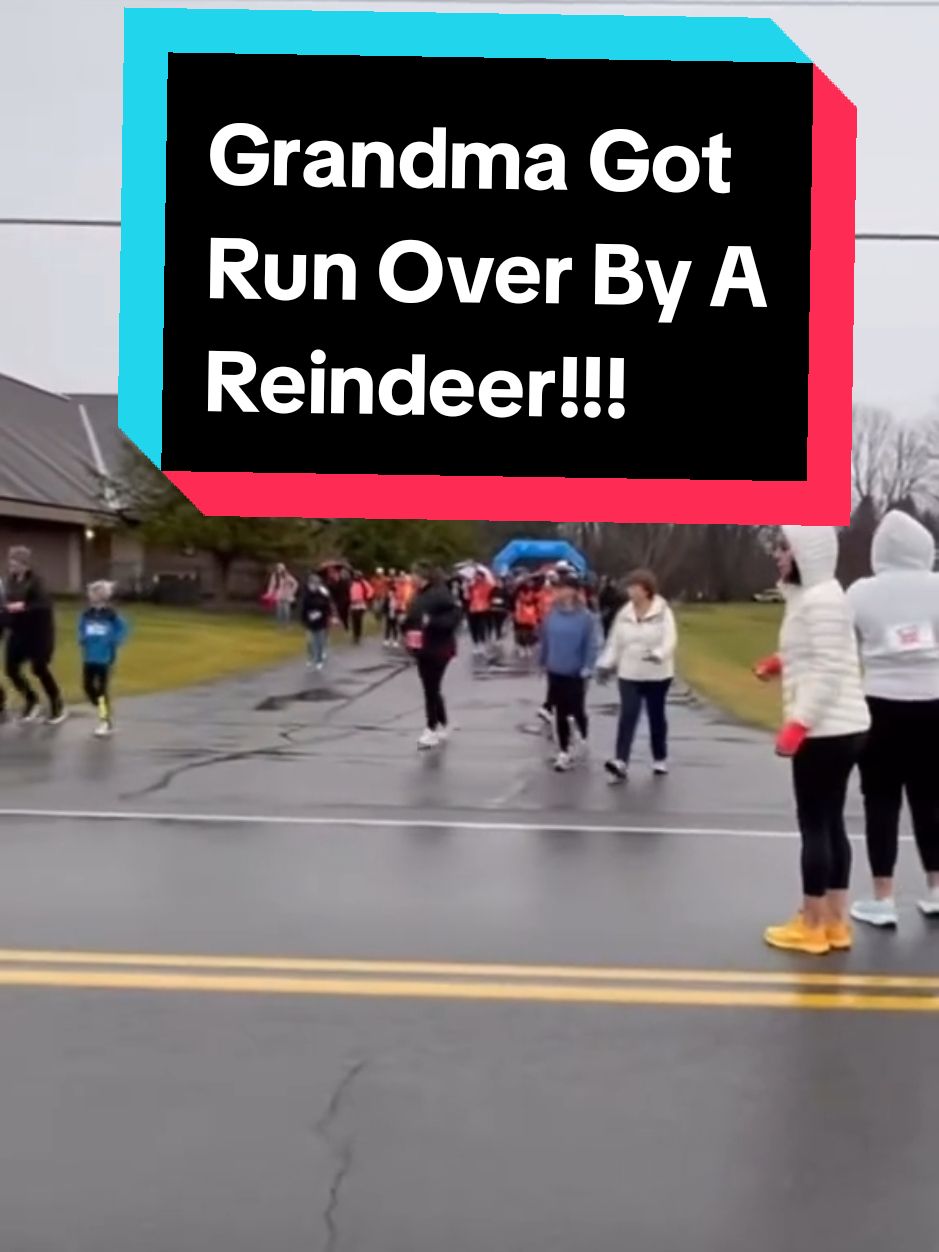 #grandmagotrunoverbyareindeer #navydaveusa #fyp #foryoupage #foryou #foryourpage #funny original video by @Joleene 