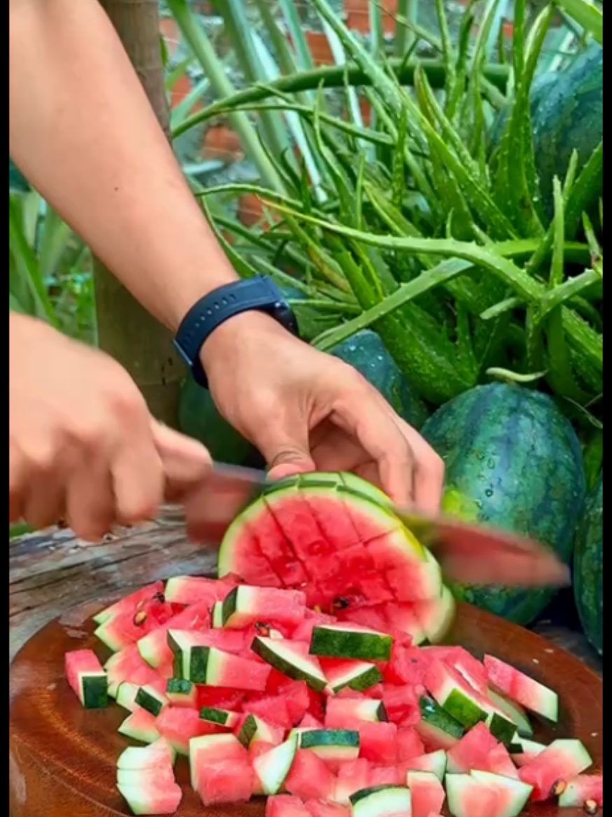 Great fresh cutting watermelon l Satisfying natural watermelon #nature #life #real #top #happy #watermelon #viralvideo 