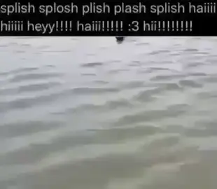 Splish splish splashh  - #cats #memes #kittycat #meow #water 
