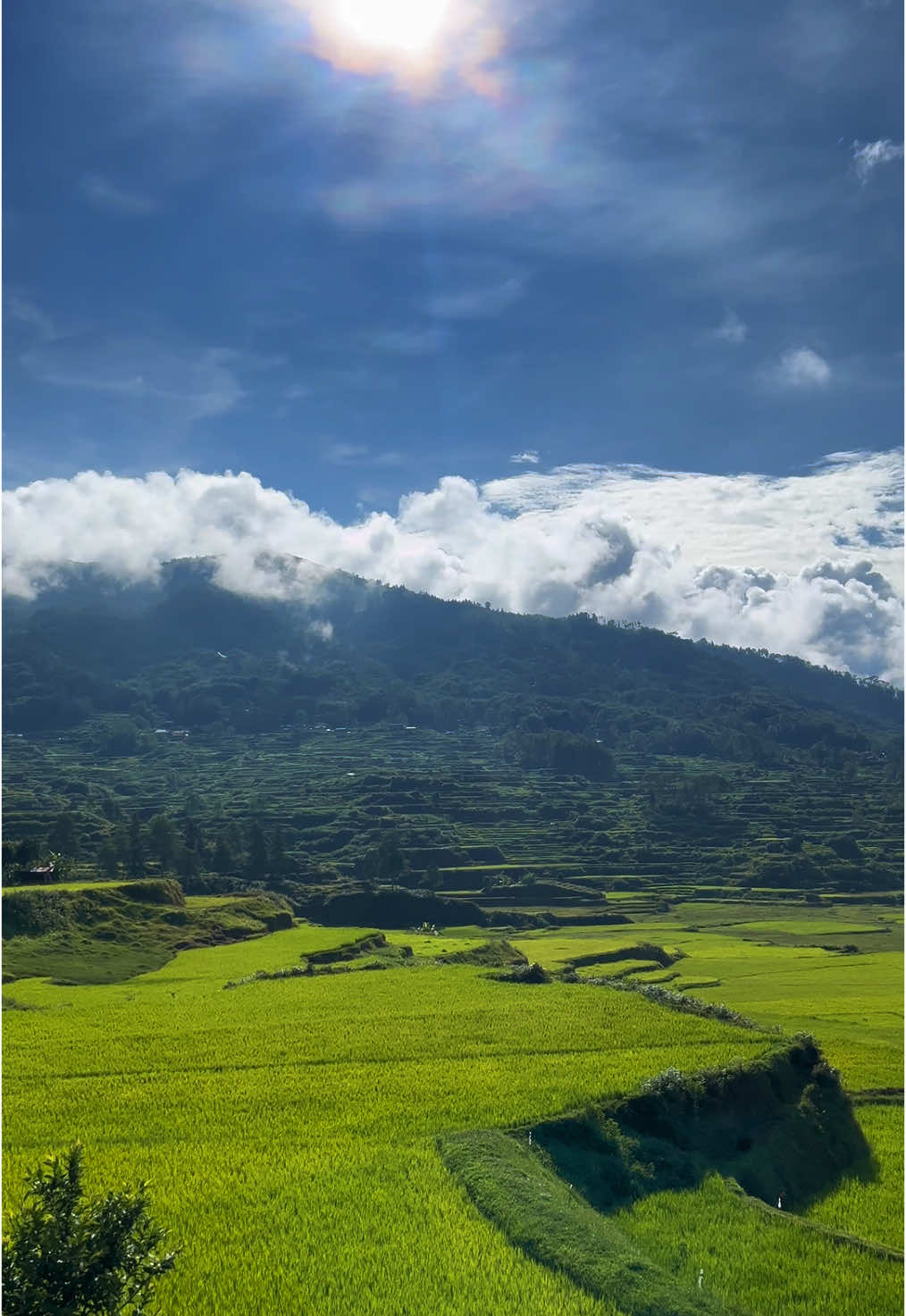 Gunung Sesean Pagi Hari .Toraya tondok maballo #torajatiktok #foryou #fyyyyyyyyyyyyyyyy #fypシ #fyp #toraja #torajasulawesiselatan #torajahits #torajanese #fyy #wonderfullindonesia #pariwisata #torajasulawesiselatan📍🖤 #sulawesiselatan #torajautara #sulawesi #torajamaelo #JelajahLiburan 