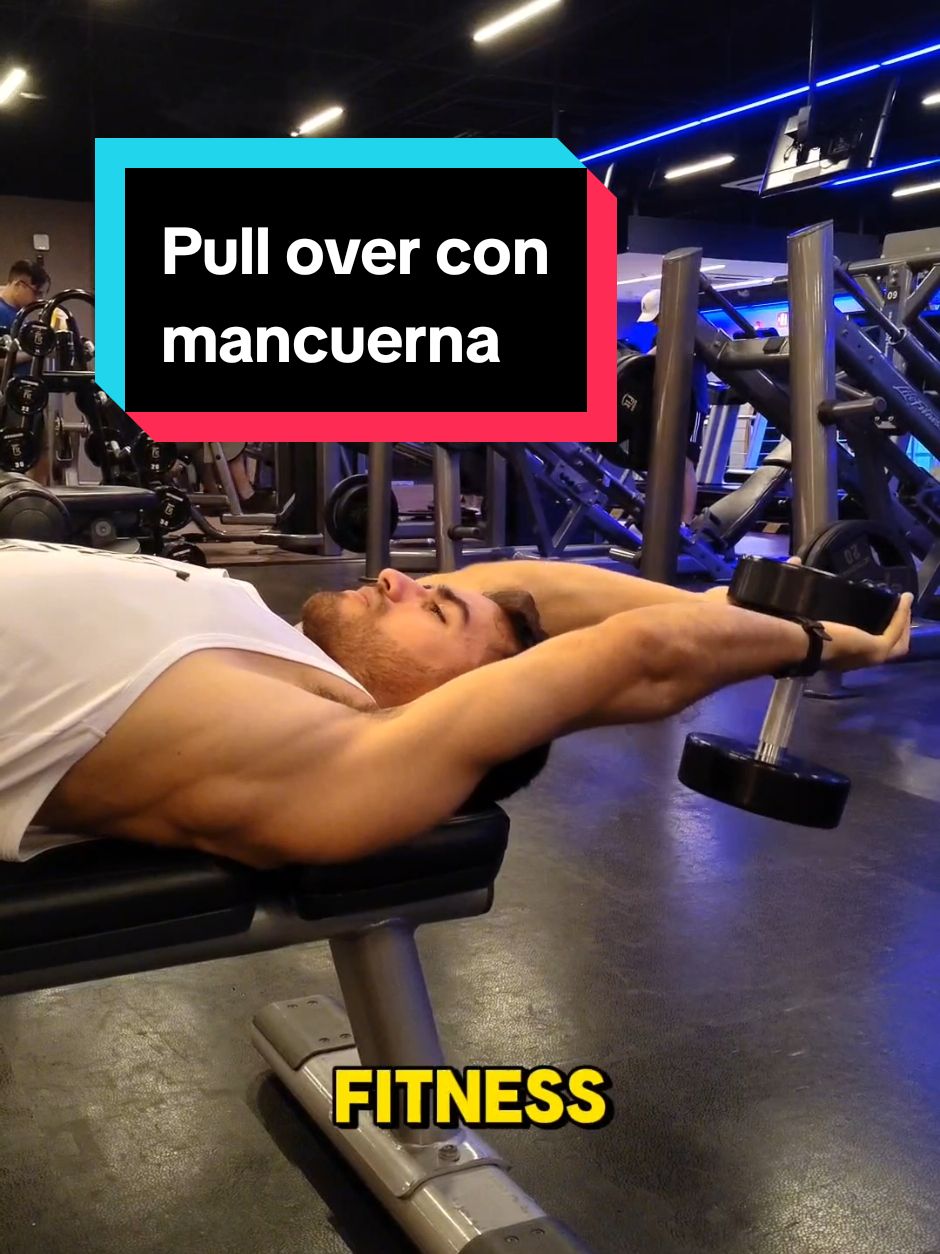 Pull over con mancuerna 💪🏻 MÚSCULOS IMPLICADOS: Principales: Dorsal ancho, redondos y pectoral mayor. Secundarios: Serrato anterior, coracobraquial, tríceps y romboides. #fit #Fitness #workout #espalda #pecho #fitnessmotivation #gym #ejecucion #gymmotivation #workoutmotivation #pullover #diegoalonsofitness 