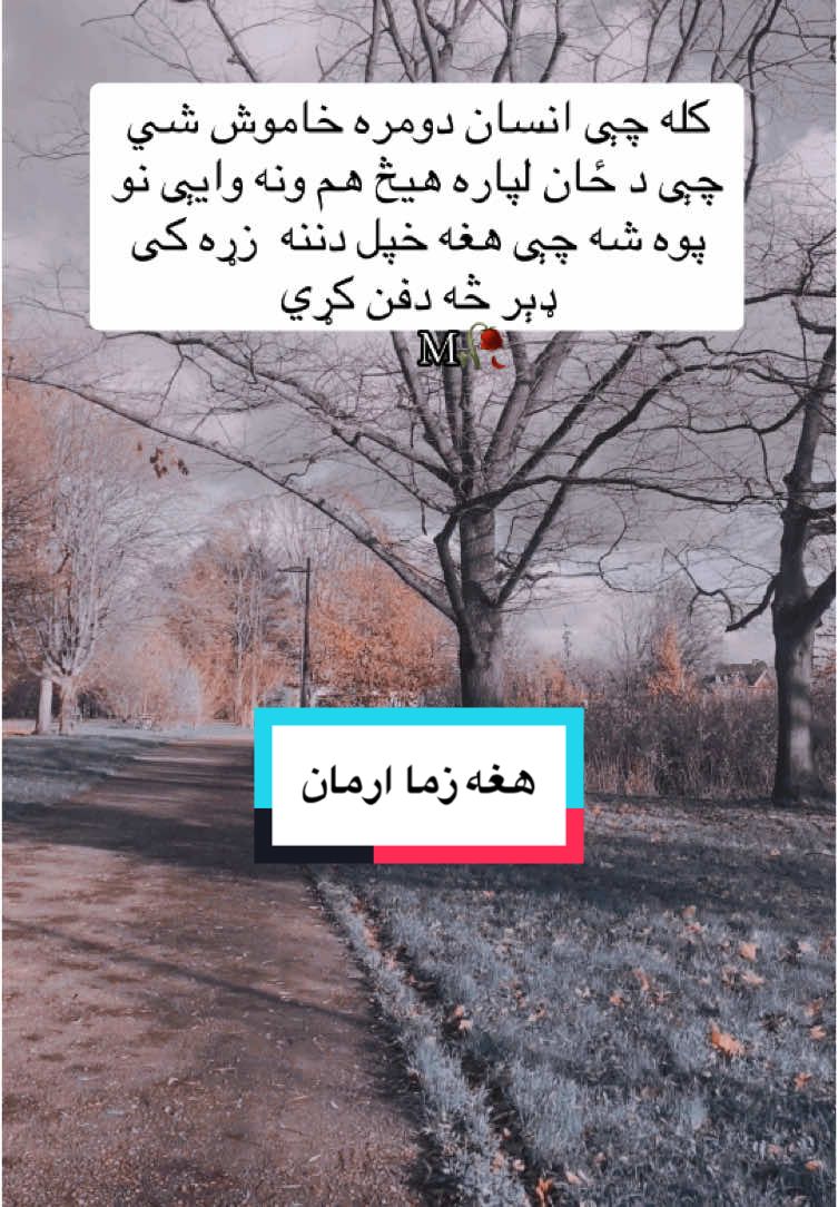 #@هغه زما ارمان M 🥀💔 