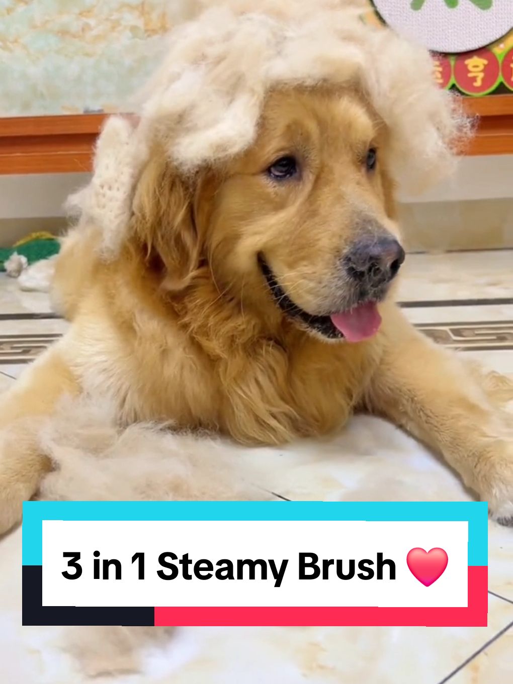 3 in 1 Steamy Pet Brush ❤️  #dogcomb #dogproducts #dogsoftiktoks #dogs 