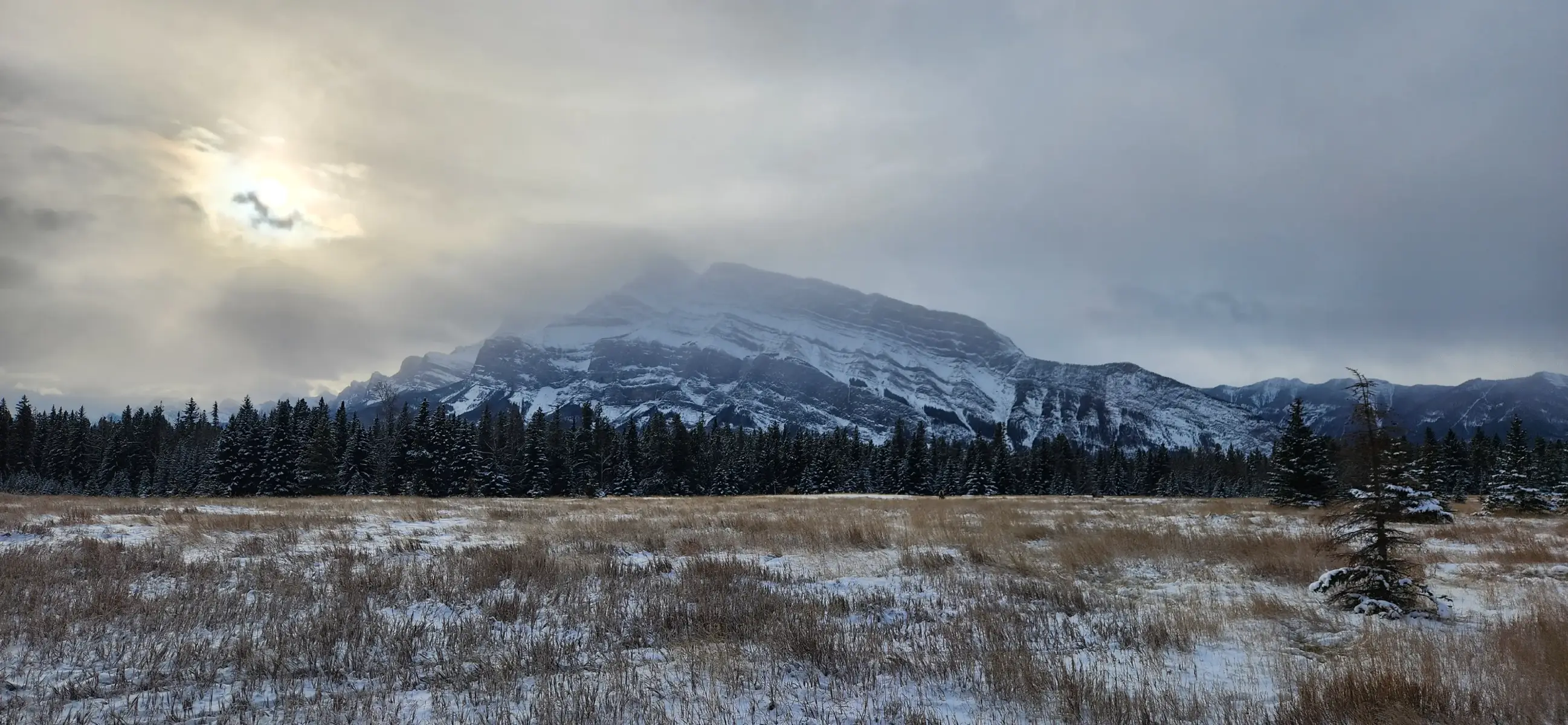 Spending Thanksgiving in Banff. We've visited in January, March and April and now November/December. The beauty that is Banff cannot be full captured on camera....but I will always try. Something about the crisp, cold, mountain air and the trees covered in snow that whispers of dreams. #mycamerarollafterBanff #banffnationalpark #Thanksgiving2024 #sweaterweather #makingmemories 