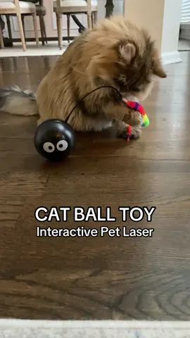 The viral cat toy of the holiday season is here! This interactive pet laser ball toy is so much fun. It has so many great features including a wand toy, laser pointer, chirping bird sounds, and an automatic moving ball. This cat toy is scratch resistant and also rechargeable. My cat plays with this toy for hours every day and it’s so entertaining. Order one for your cat or dog in the TikTok shop during the Black Friday and Cyber Monday deals! It’s a great Christmas gift idea for cat parents and cat owners #cat #cats #catsoftiktok #catlover #catsvideo #fyp #foryoupage #foryou #PetsOfTikTok #pets #tiktokshopblackfriday #christmas #tiktokshopcybermonday #cattok #catslovers #kitty #kitten #kittensoftiktok 