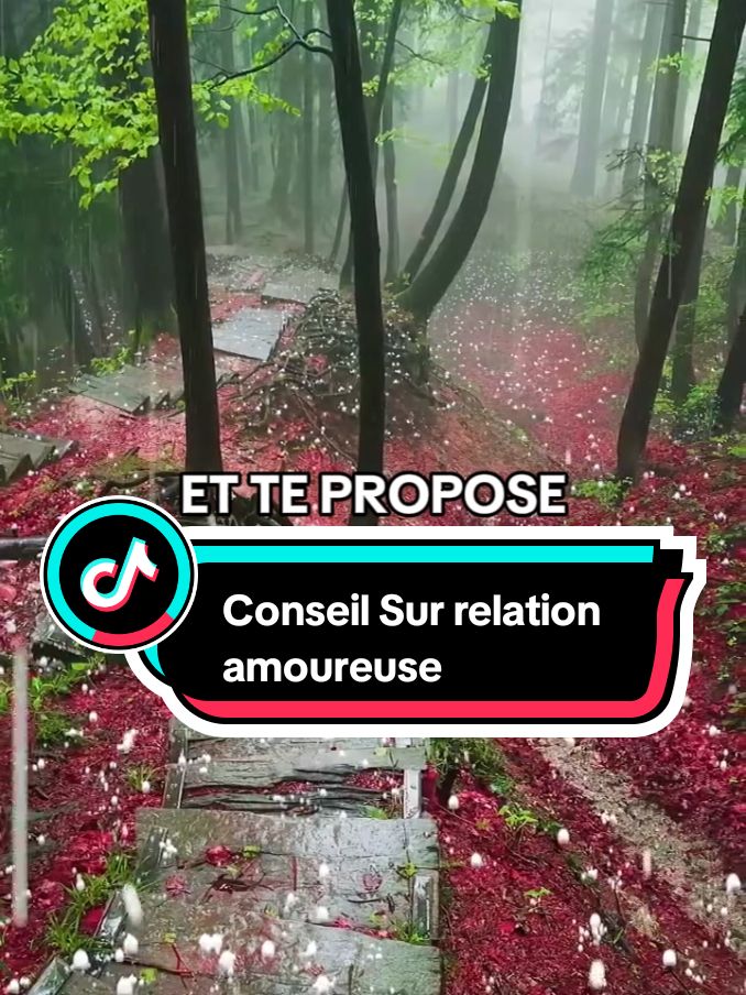 Conseils sur relation amoureuse part 3. #amour #loveyou #relation #tiktokviral #fyppp #iloveyou 